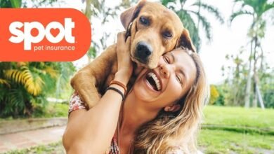 Spot Pet Insurance